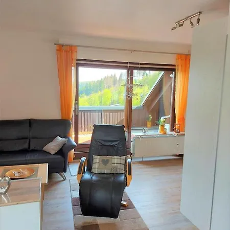 Appartement Ferienwohnung Traumblick Winterberg